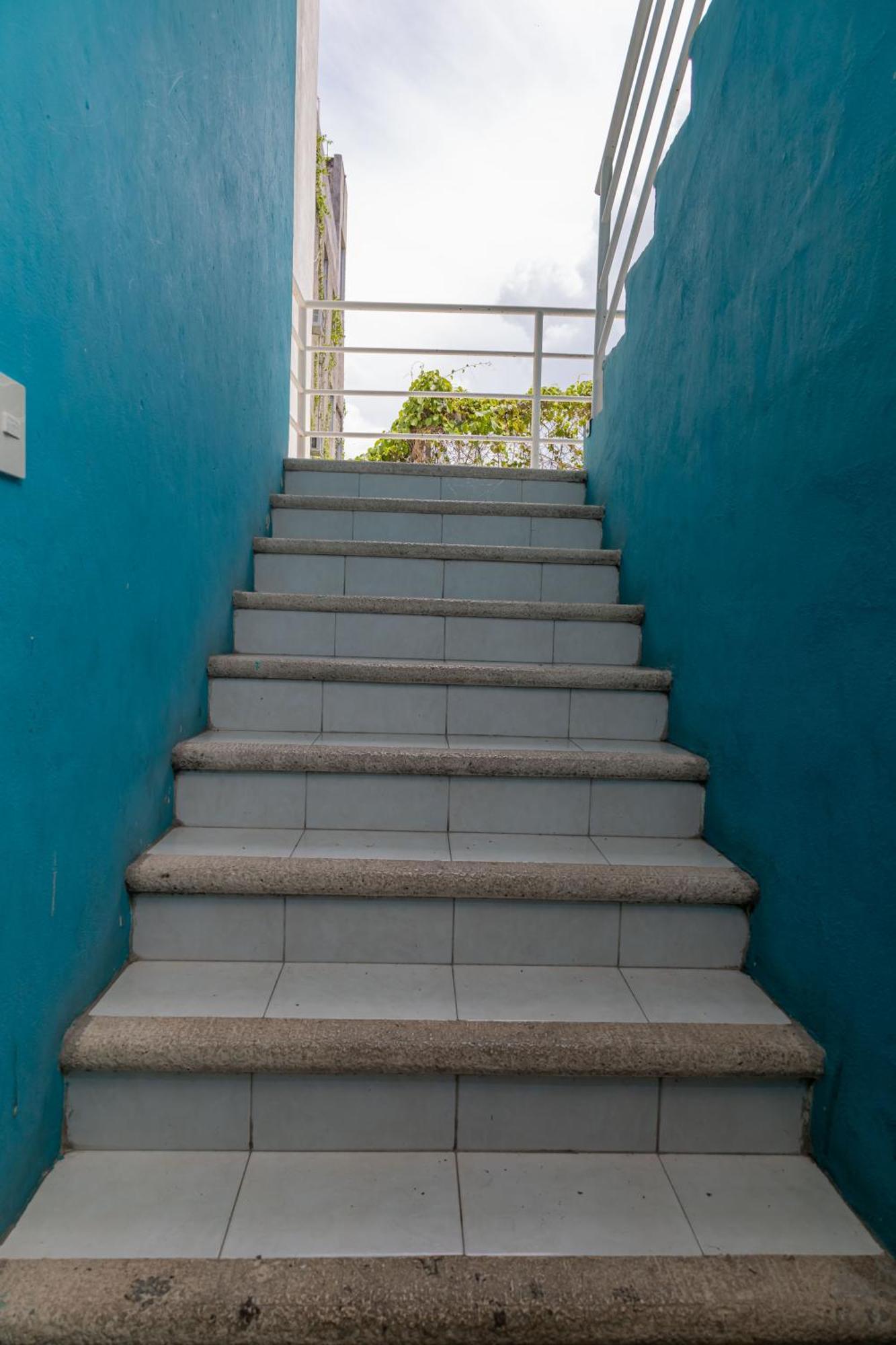 Palmas En Laurel Cancún